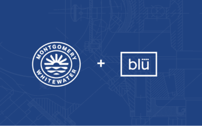 Transforming customer data to grow a loyal customer base