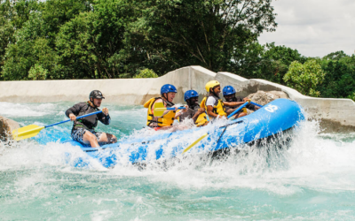 Transforming customer data to grow a loyal customer base